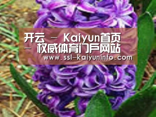 产品名称八