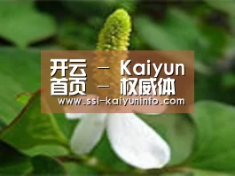 产品名称三