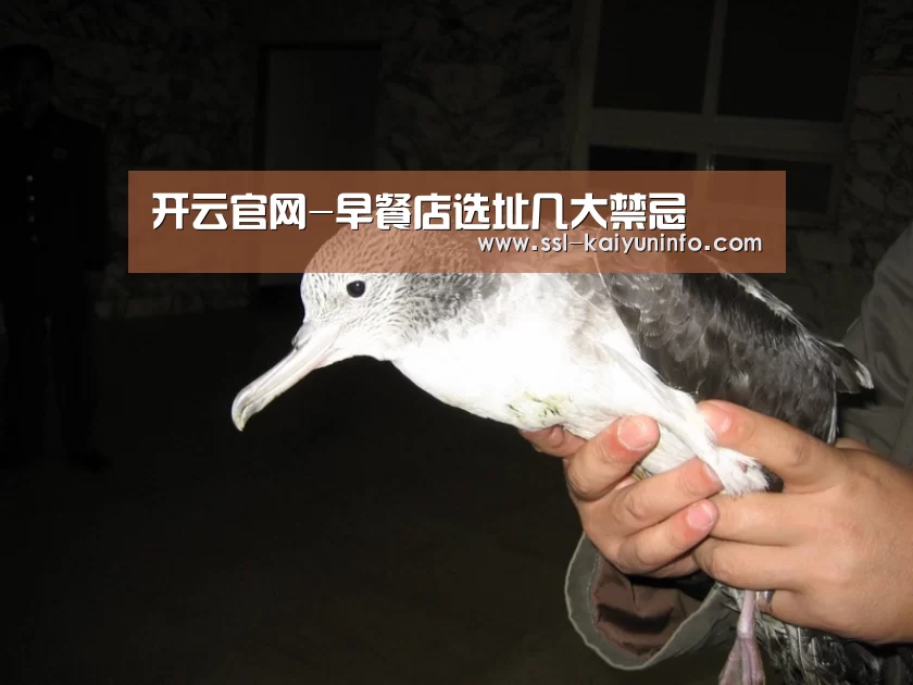 开云官网-早餐店选址几大禁忌(图3) 开云体育官网